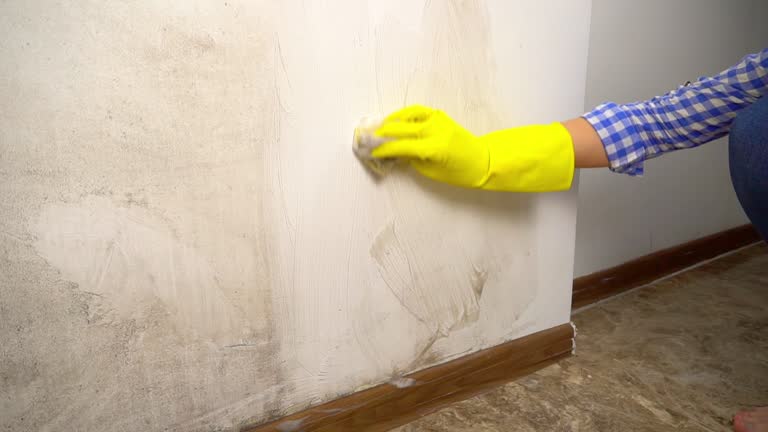 Best Real Estate Mold Inspection  in Niagara, WI